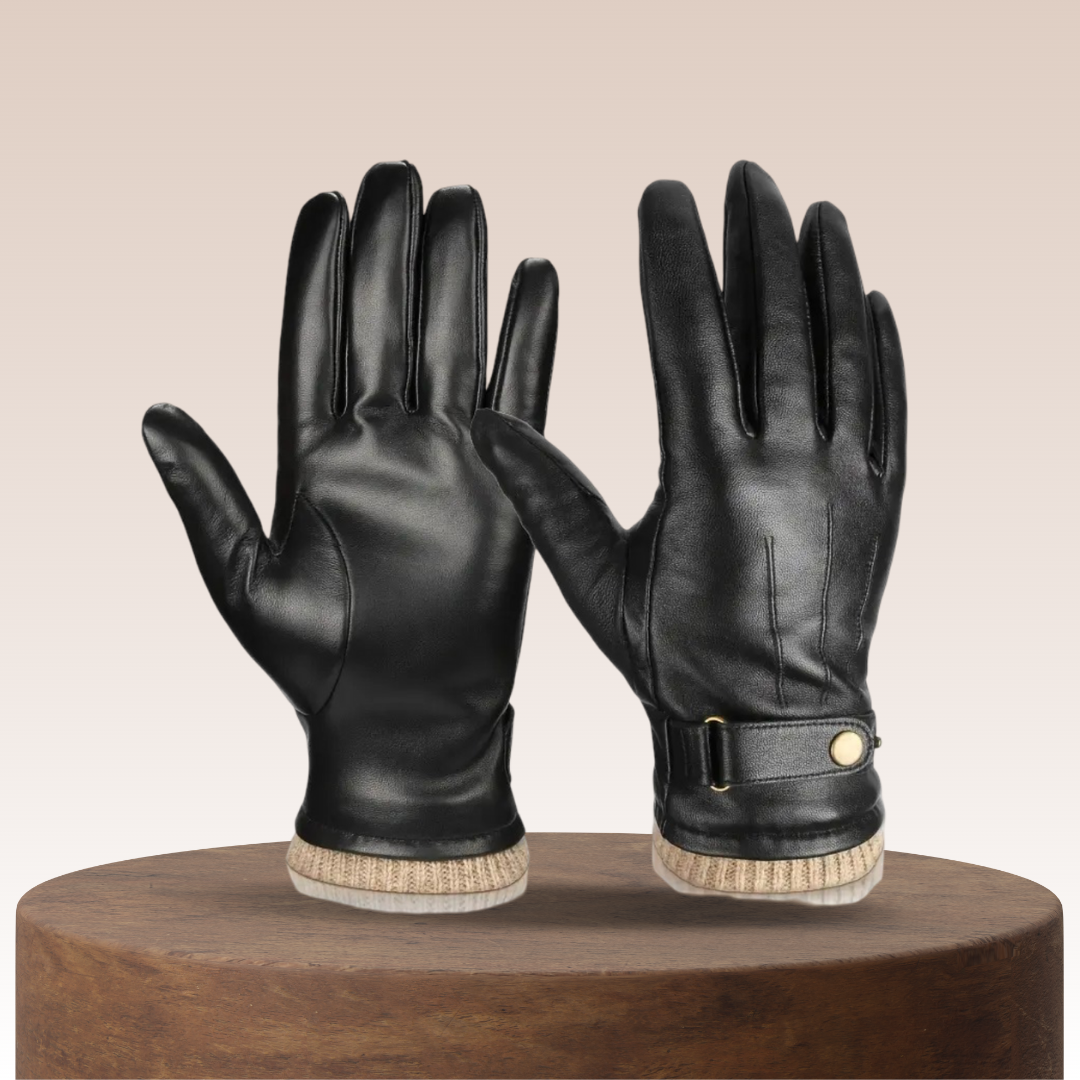 Louis Leather Gloves