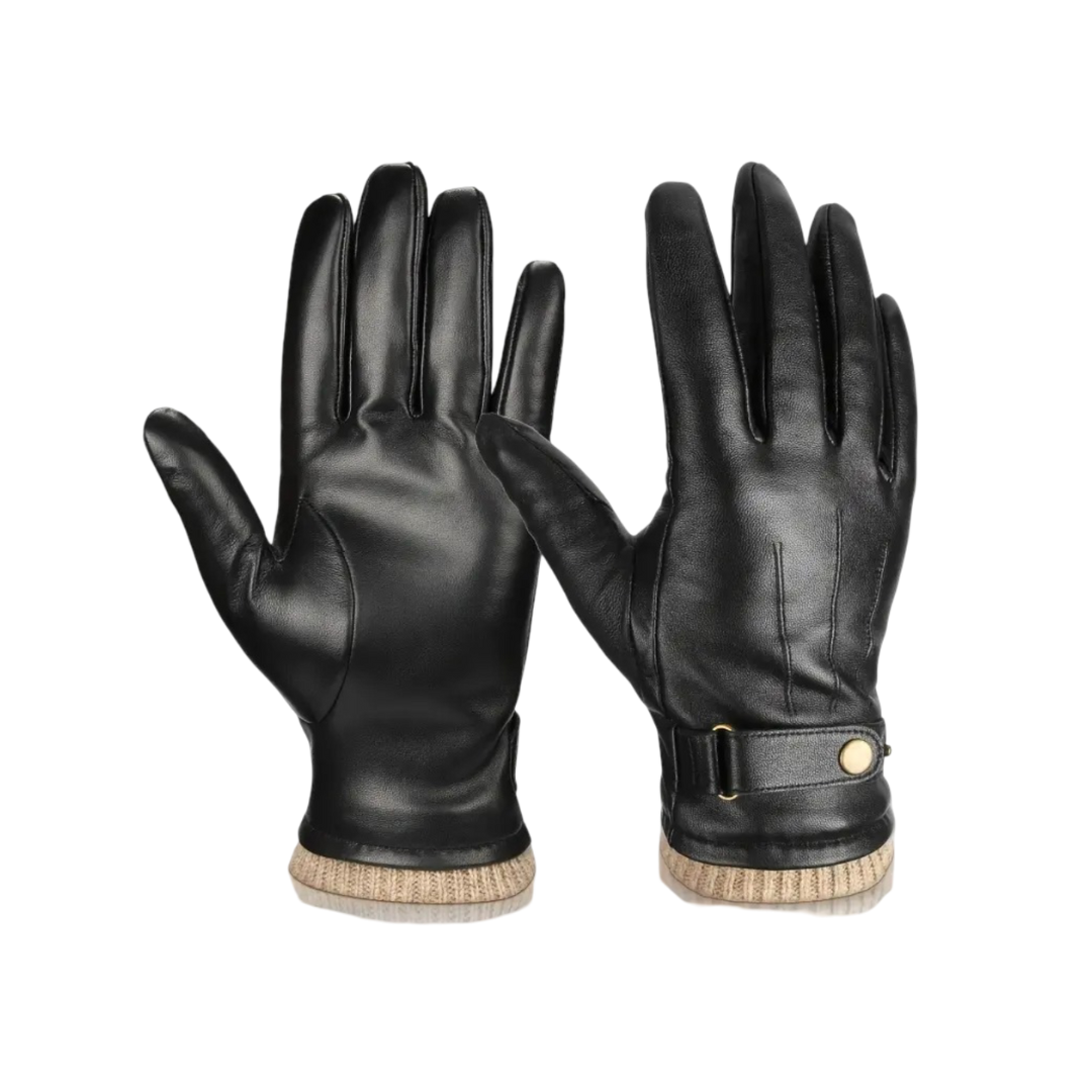 Louis Leather Gloves